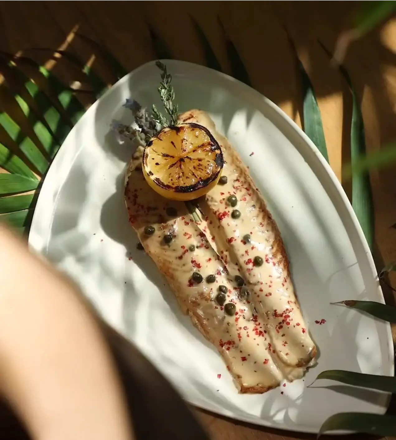 A plated dish featuring two golden-brown fillets of white fish drizzled with a creamy sauce, garnished with capers and crushed red seasoning. A charred lemon half and a sprig of fresh herbs rest on top. The dish is presented on a white oval plate, set on a wooden surface with green palm leaves in the background, illuminated by warm natural sunlight.